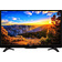 Телевизор 23.6" LCD "ASANO" [24LH7020T]; HD-Ready (1366x768),Smart TV, Wi-Fi