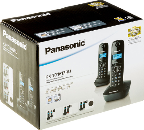 Р/Телефон Panasonic KX-TG1612RUH <Gray>