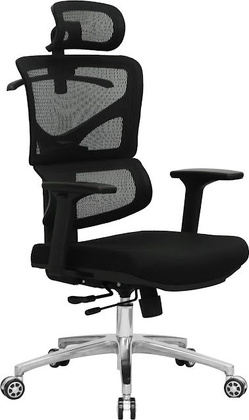 Кресло офисное "Evolution" [ERGO Fabric] <Black>