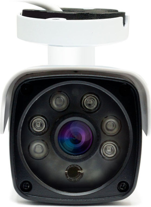 IP-камера  Ginzzu HIB-5301A