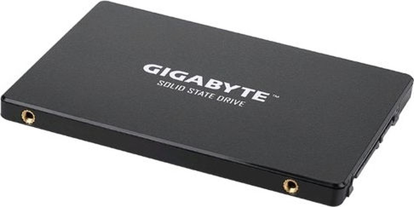 SSD 256 Гб GigaByte GP-GSTFS31256GTND
